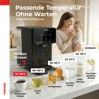 Toshiba Osmoseanlage Grau